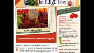 Indigo Chef Young Entrepreneur Relationship Marketing Radio
