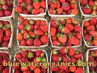 Chef George at the Birmingham Farmers Market with his cookb