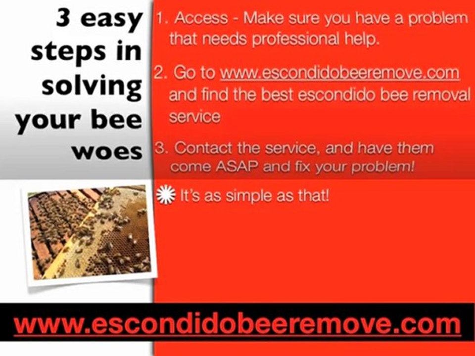 Bee Removal Escondido