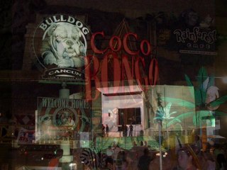 house electro made in ibiza