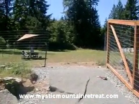 Snohomish Dog Ranch, Dog Boarding Seattle & Everett Areas