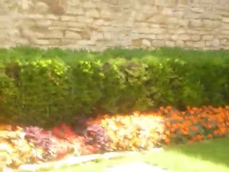 HUGUES DRAYE : "Musées" (texte : Hugues Draye)