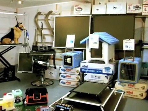 Dog Boarding Kennels Gumdale Coltrandi Dog Training QLD