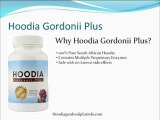 Hoodia Gordonii Plus Free Trial