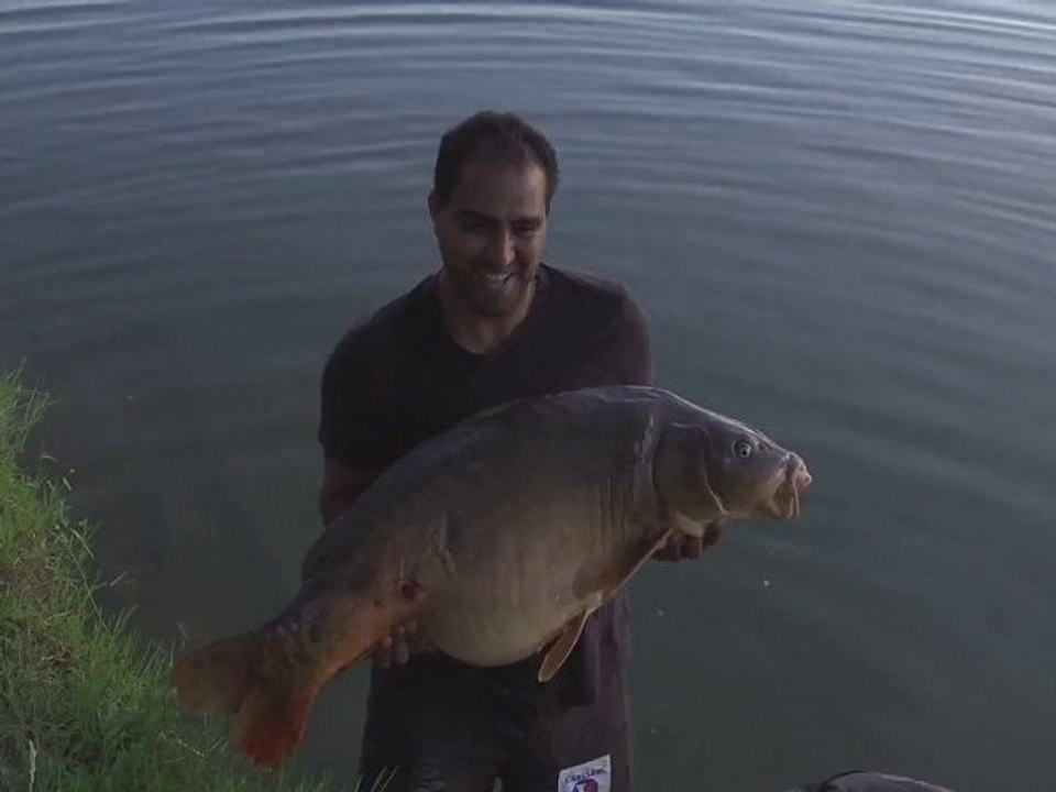 Carpe de 25 kg, Capes 50 pounds