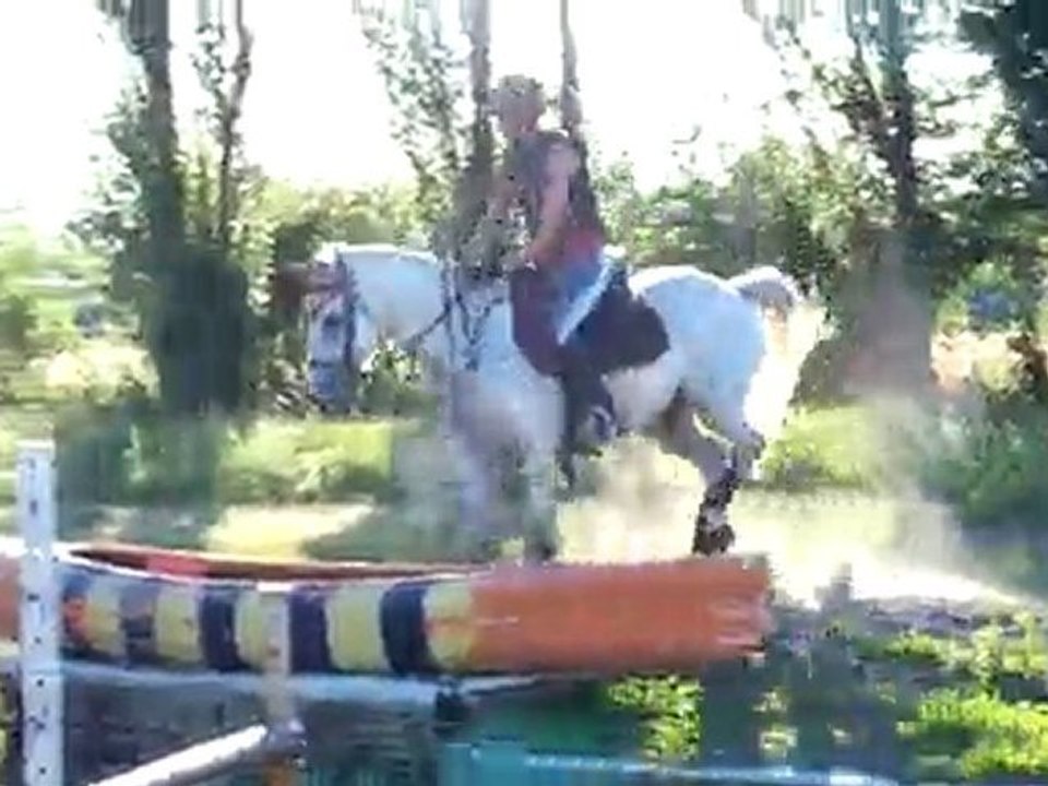 Nénuphar cross juillet 2010 (2)