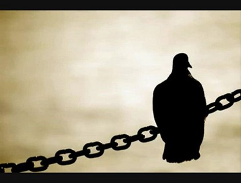 farid farjad fikrimin ince gülü atesclup.com