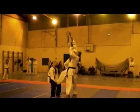 Téléthon 2009 - Taekwondo - Brie Comte Robert