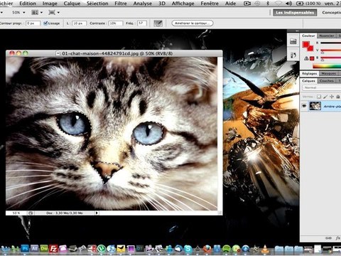 Photoshop CS5 : Appliquer un noir & blanc