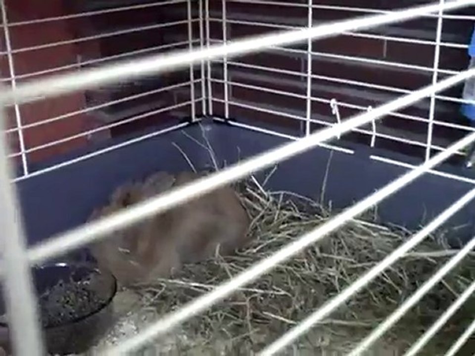 CLIP0004