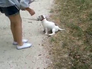 Filou le foldingue^^