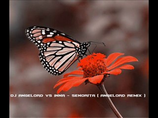 Dj AngeLord vs Inna - Senorita ( AngeLord Remix )