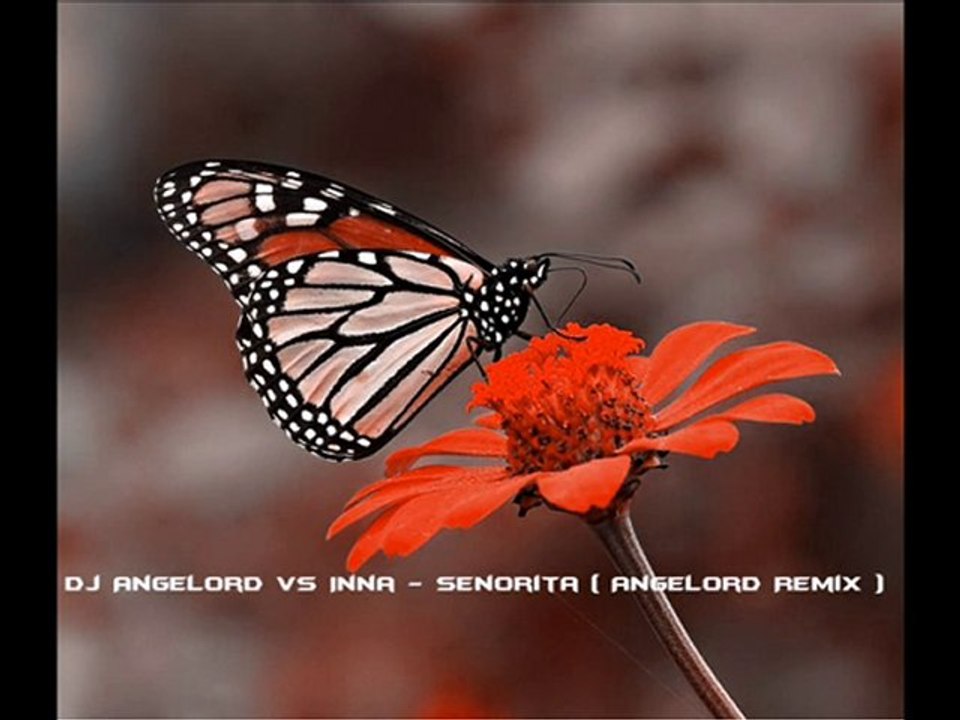Dj AngeLord vs Inna - Senorita ( AngeLord Remix )