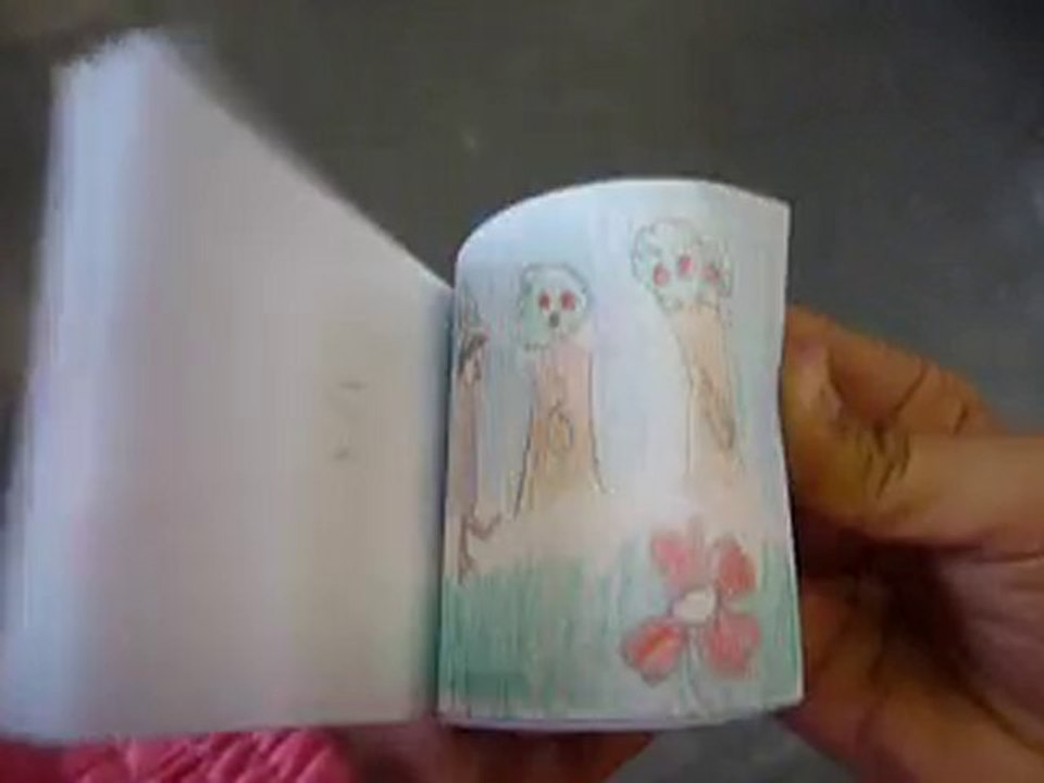 flipbook cueillette