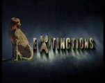 extinctions : le guepard (1)