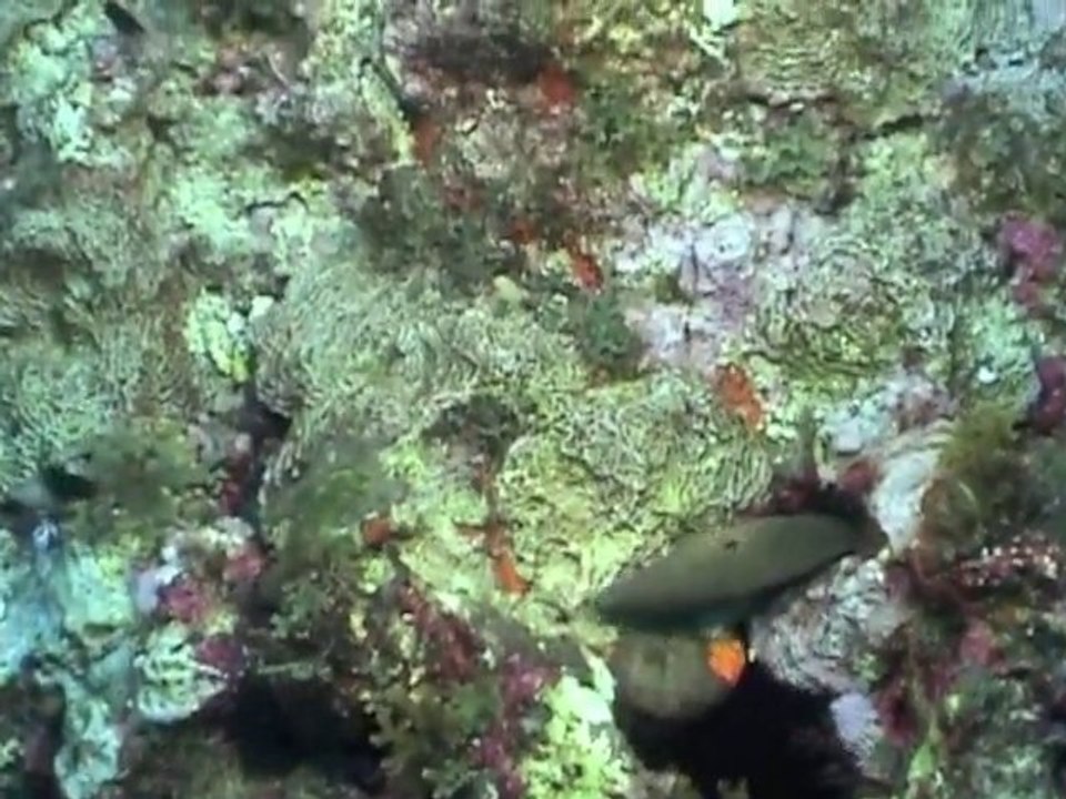 le rocher du diamant