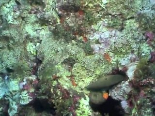 le rocher du diamant