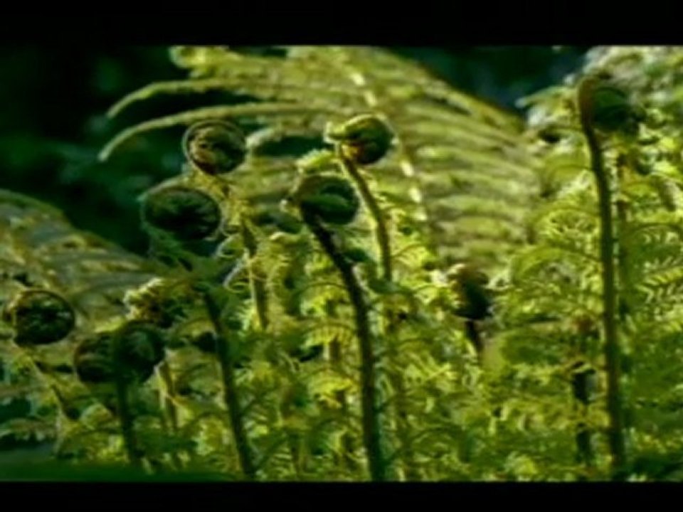 Abdurrahman Önül - Allah Diyelim