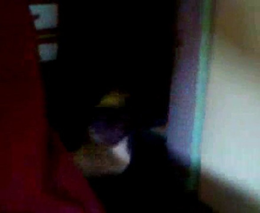 Lasco