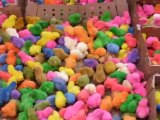 La folie humaine - Des poussins multicolores