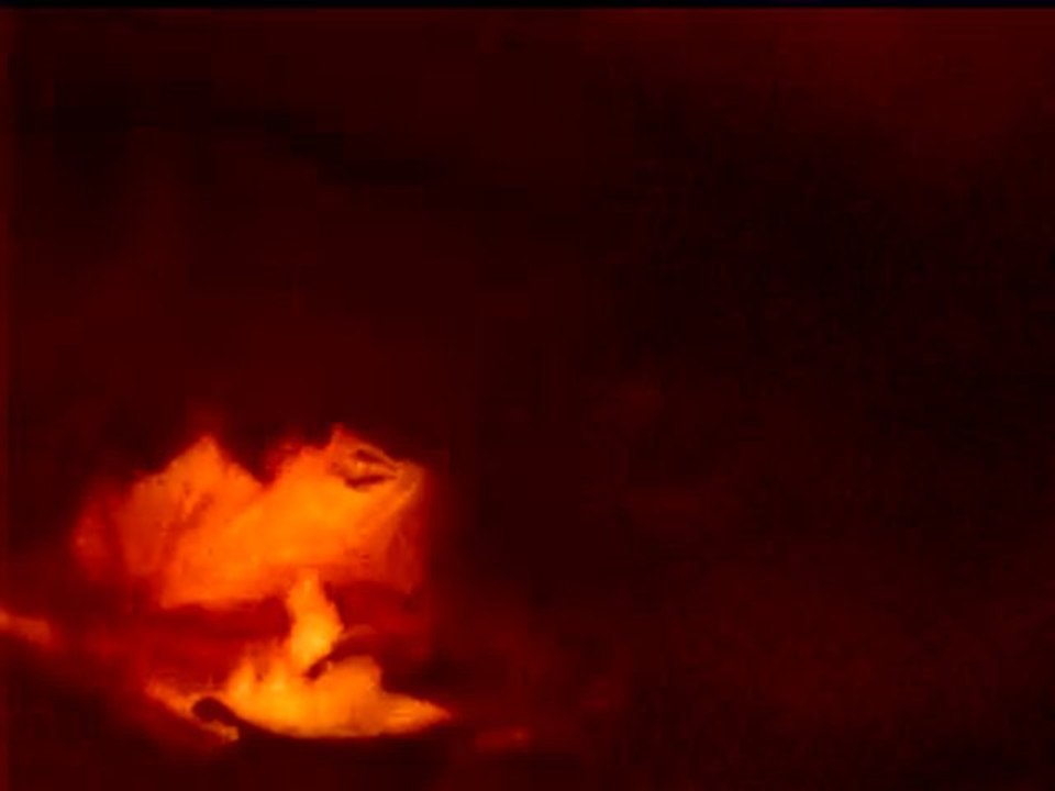 Mon Cochon dinde ki mange de la salade ^__^