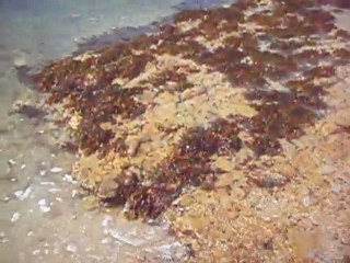 De l'eau, toujours de l'eau - Ile de Ré