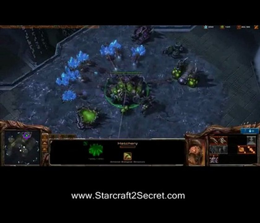 Starcraft 2 Strategy - Zerg