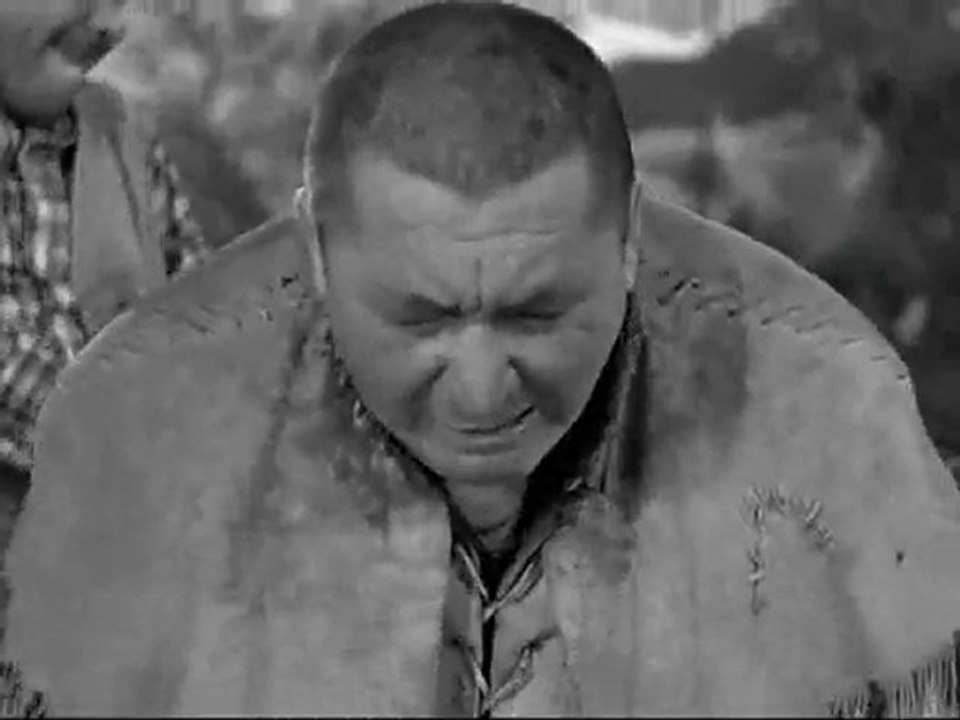 Cactus makes perfect