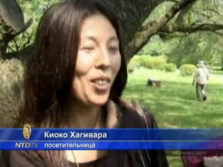 Редкий гигантский цветок расцвёл в Японии