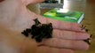 Tava Tea -Green weight loss tea and wellness blend