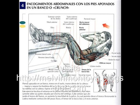 Ejercicios para el abdomen