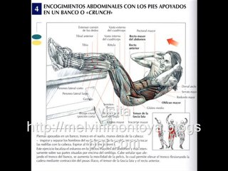 Ejercicios para el abdomen