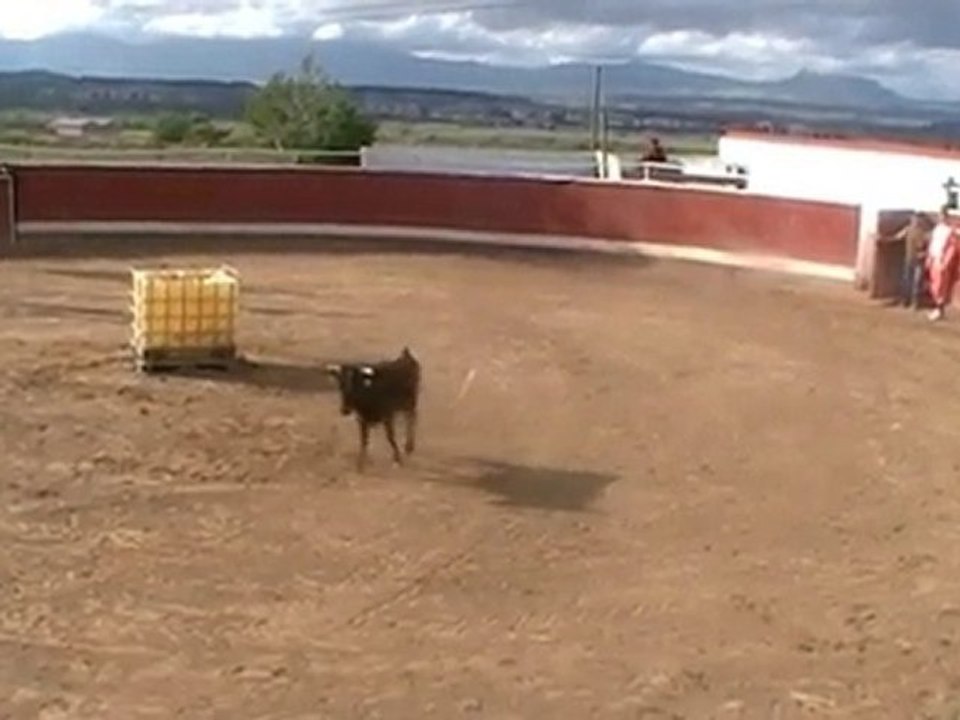(Despedidas de soltero) en Logroño. Capea Logroño.