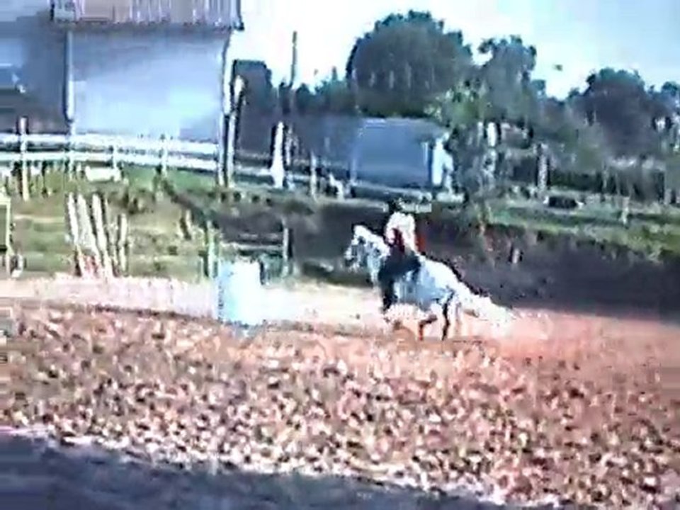 neron la chapelle de surieu