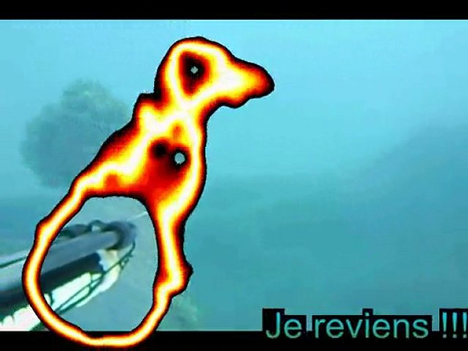 chasse sous marine sar loup congre rascasse