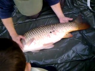 carpe 2010 le 24/07/2010