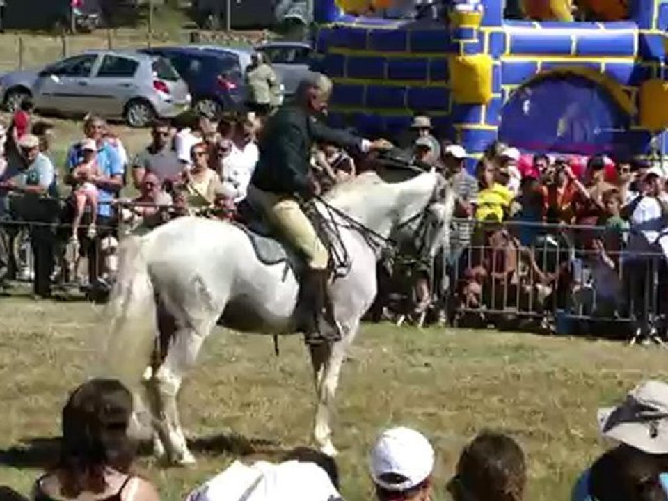 Le dressage