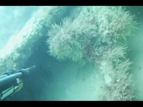 compilation des années 2009/2010