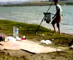 Dev israil sazanı :)