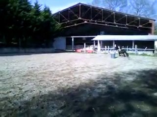 équitation américaine