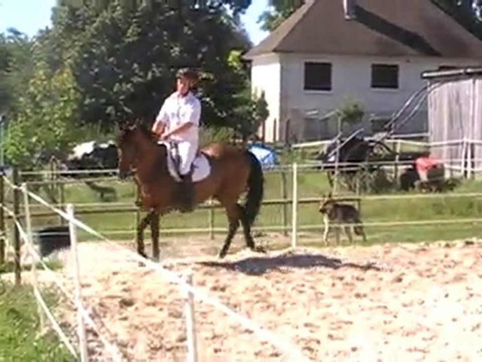 reprise de dressage du galop6: Damien et Hussard