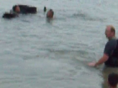 LES CHIENS SAUVETEURS