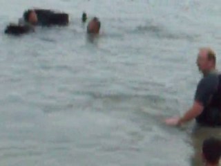 LES CHIENS SAUVETEURS