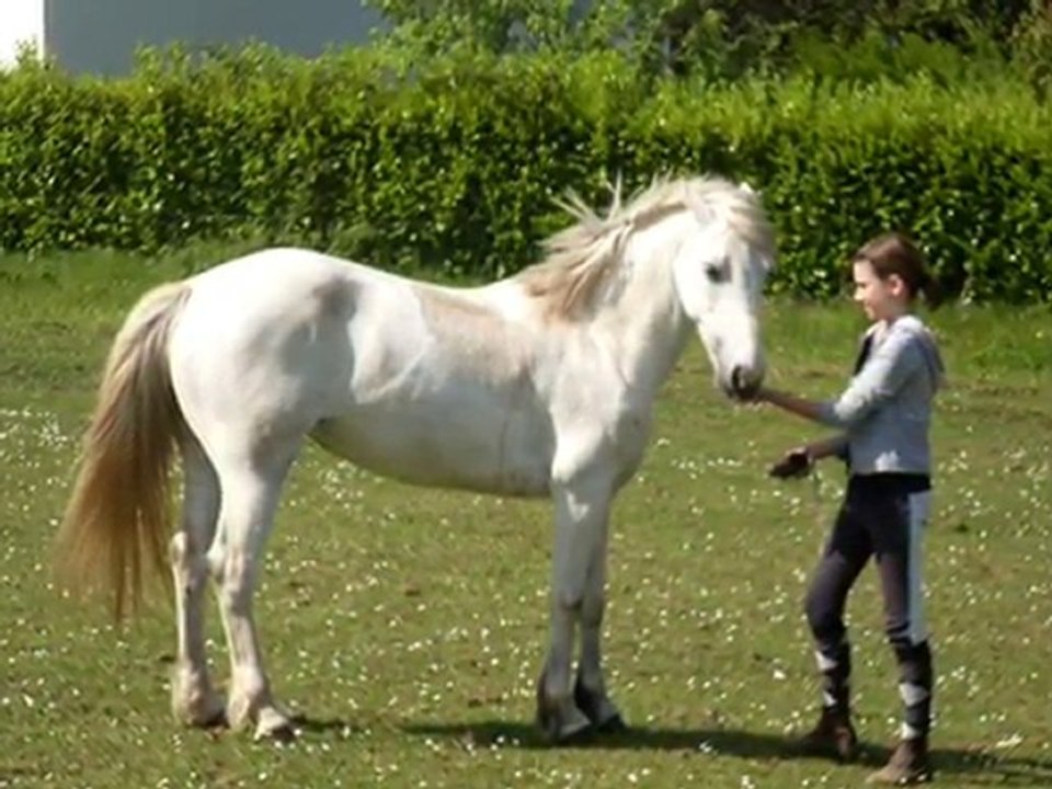 2010 année genial