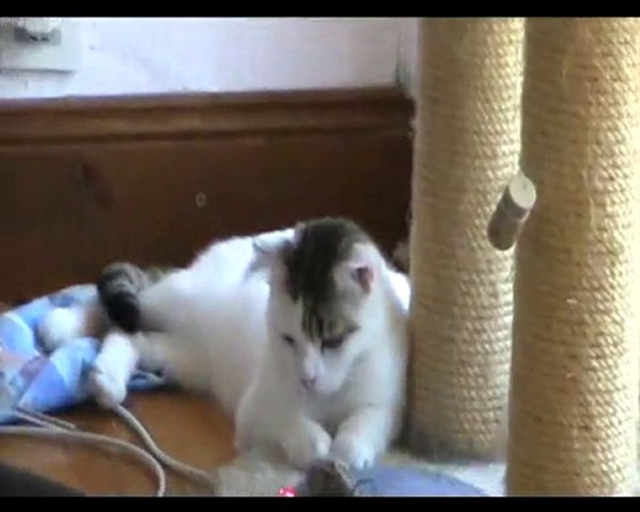 Fioul et laser - 05 - 15 juillet 2010