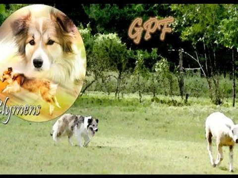 Concours de Pont A mousson