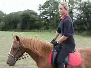 Sceance de travail avec Korrigan le 24-07-2010