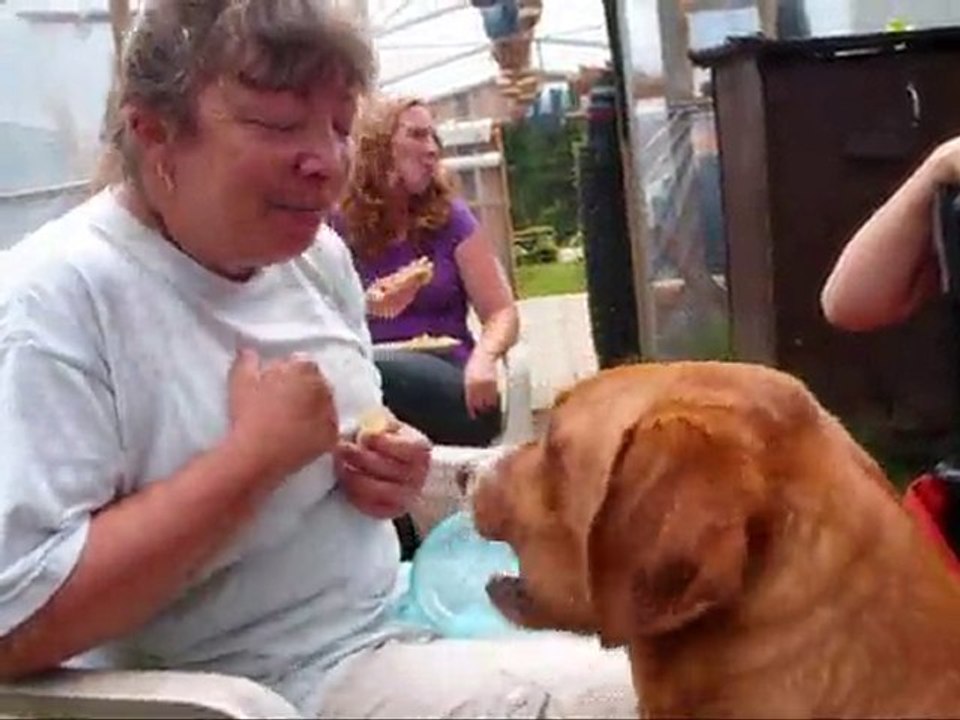 renconte complètement toutous St-Come 2010