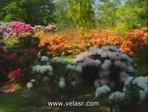 Berat Kandiliniz Mubarek Olsun / WWW.MİNELASK.COM SESLİ CHAT