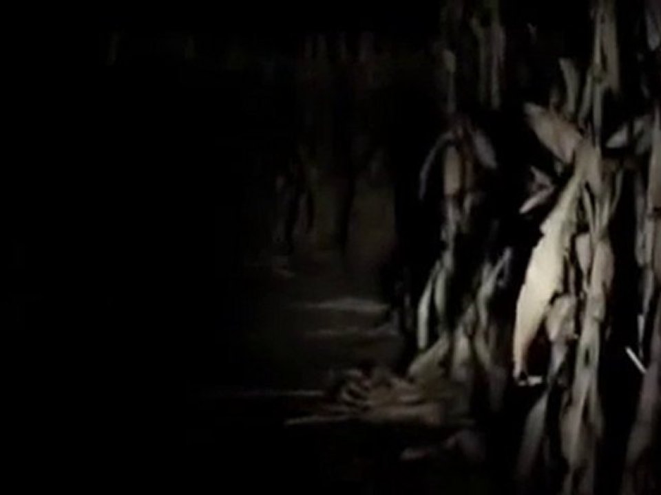  - Bande-Annonce  (Anglais)